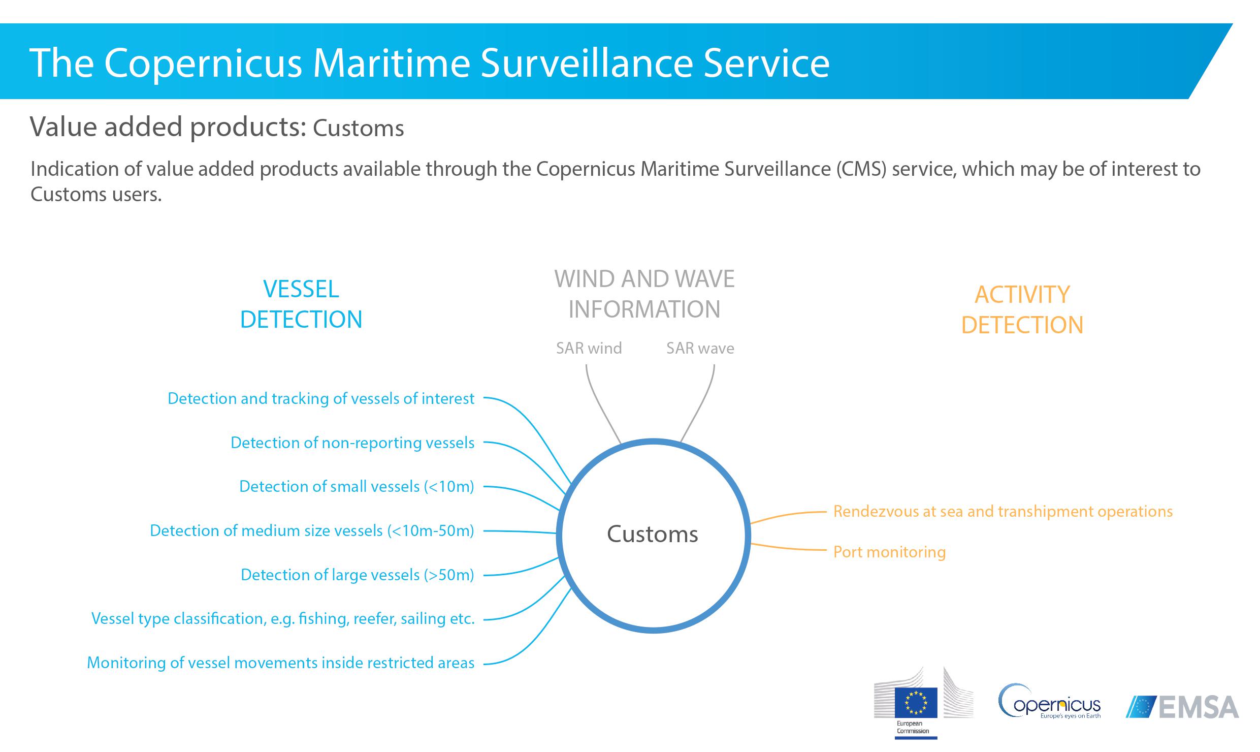 CMS VAP Customs Image 1