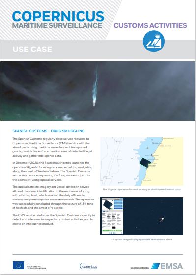 copernicus use case