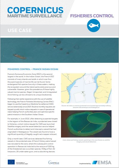 copernicus use case